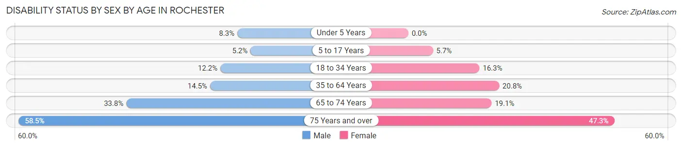 Disability Status by Sex by Age in Rochester