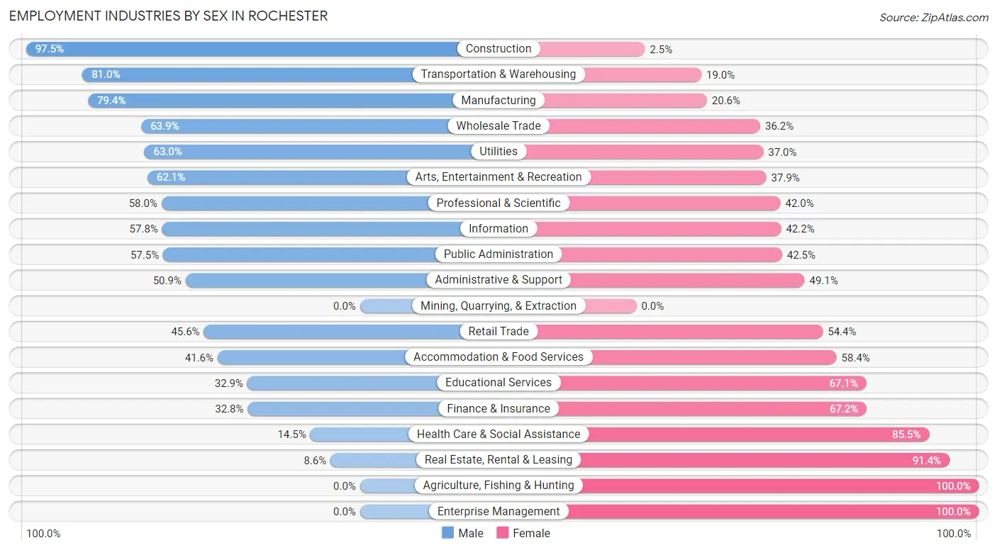 Employment Industries by Sex in Rochester