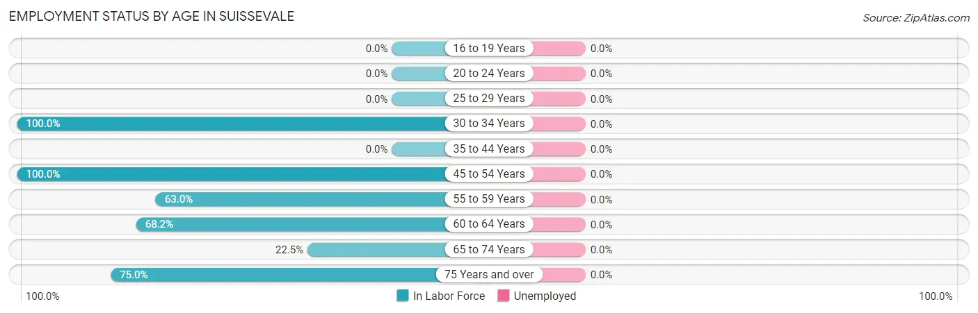 Employment Status by Age in Suissevale