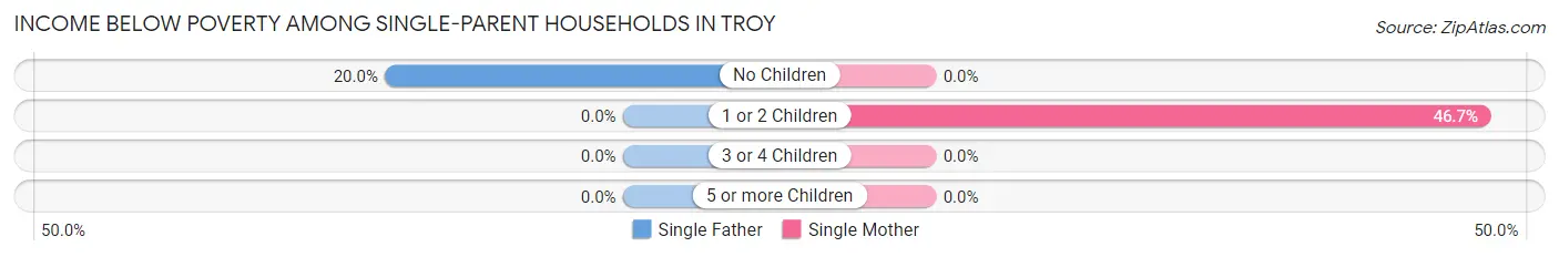 Income Below Poverty Among Single-Parent Households in Troy