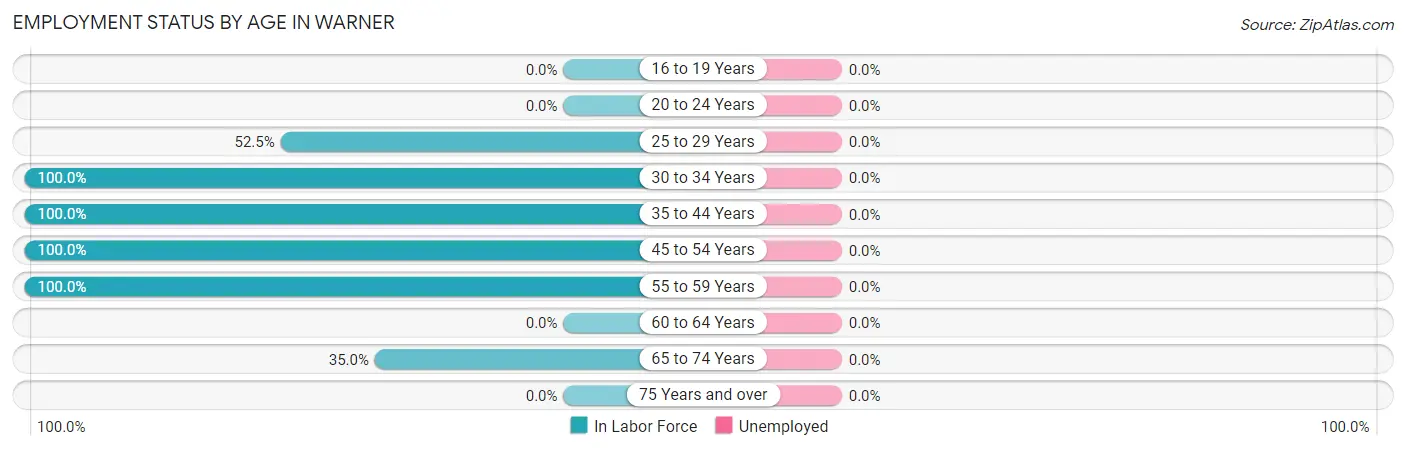 Employment Status by Age in Warner