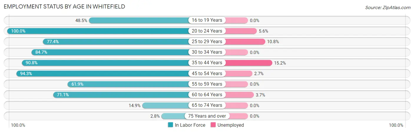 Employment Status by Age in Whitefield