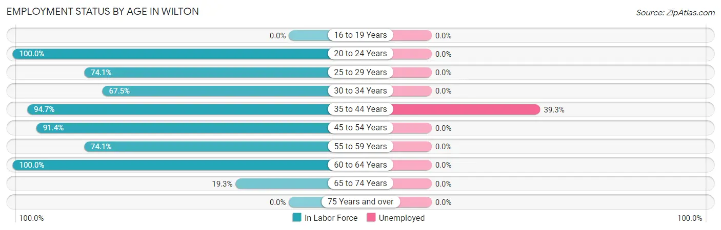 Employment Status by Age in Wilton