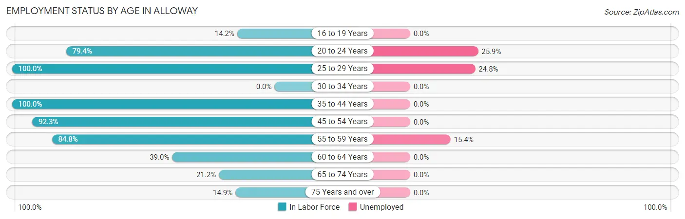 Employment Status by Age in Alloway