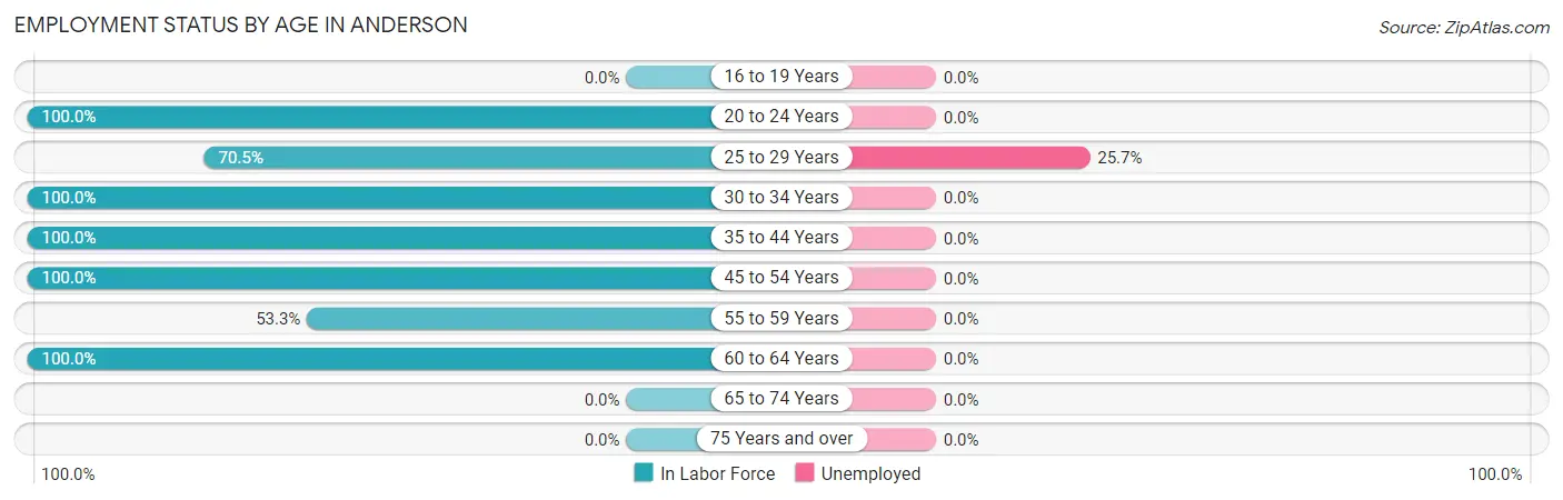 Employment Status by Age in Anderson