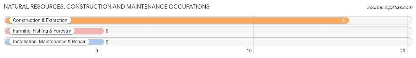 Natural Resources, Construction and Maintenance Occupations in Anderson