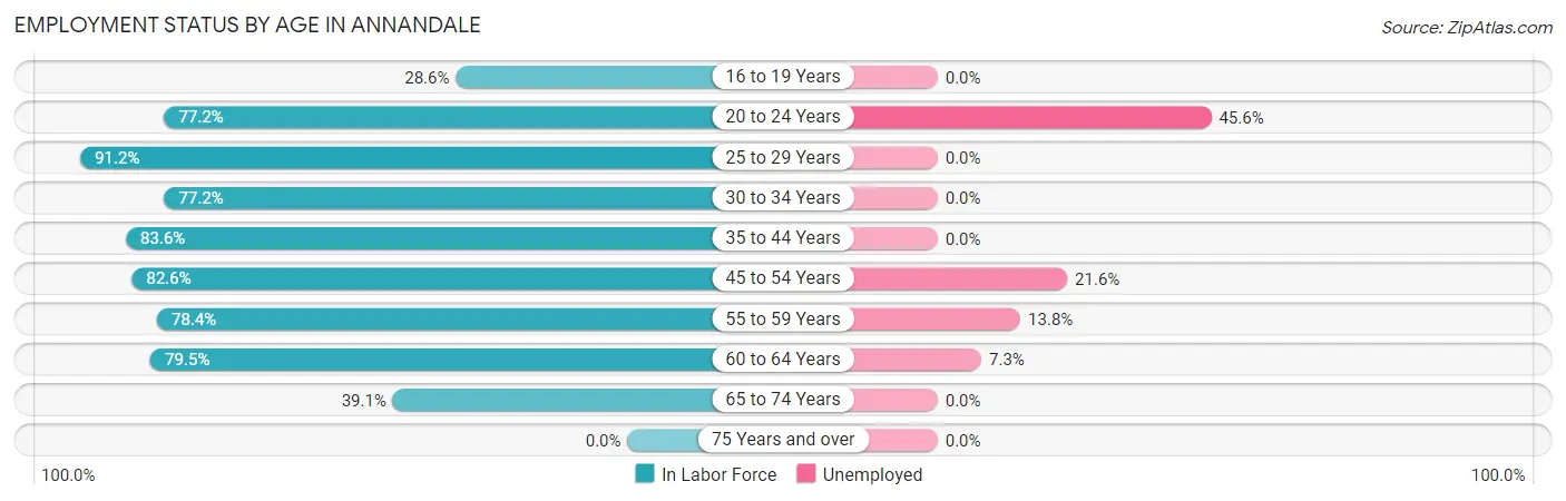 Employment Status by Age in Annandale
