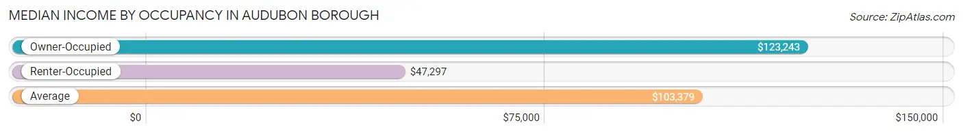 Median Income by Occupancy in Audubon borough