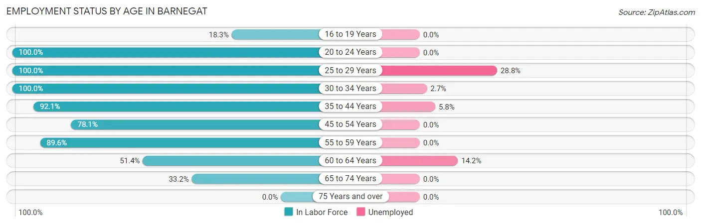 Employment Status by Age in Barnegat