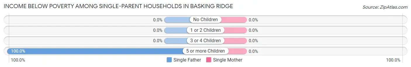 Income Below Poverty Among Single-Parent Households in Basking Ridge