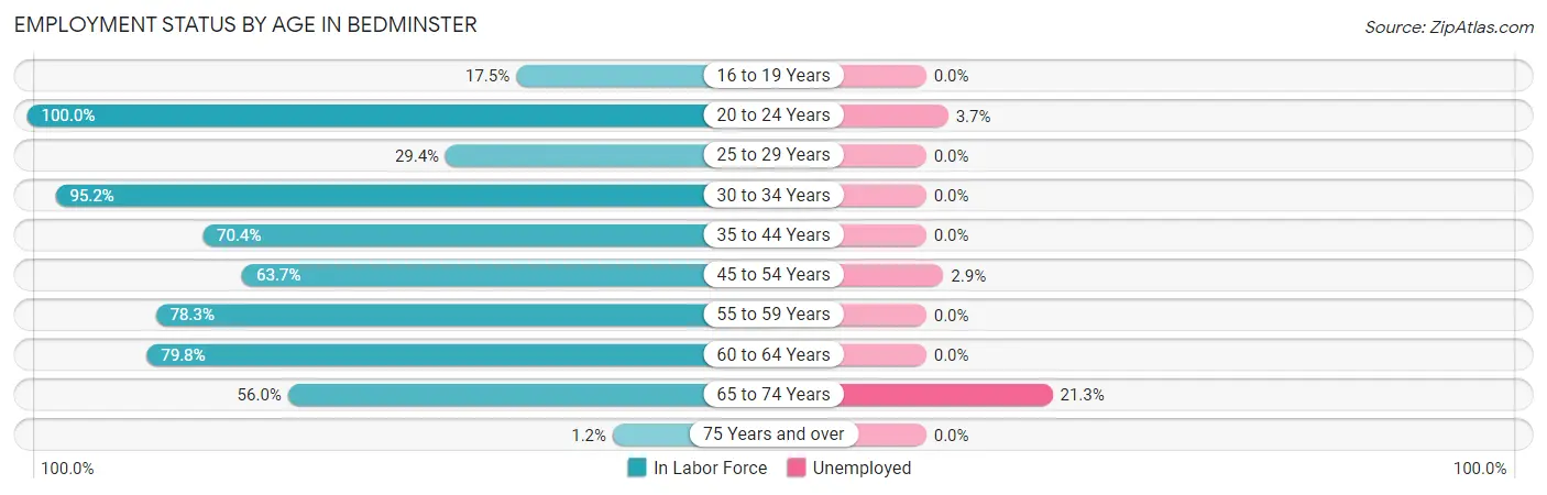 Employment Status by Age in Bedminster
