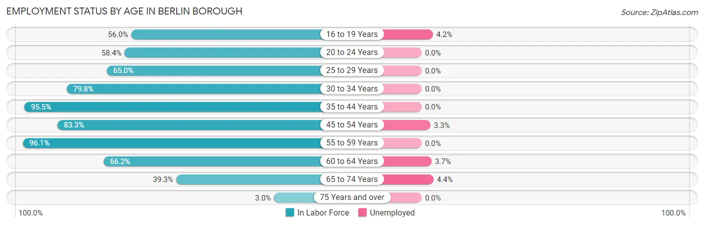 Employment Status by Age in Berlin borough