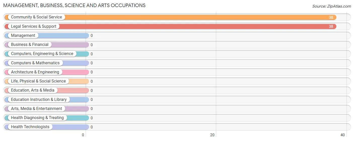 Management, Business, Science and Arts Occupations in Bridgeport