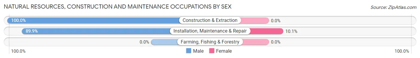 Natural Resources, Construction and Maintenance Occupations by Sex in Browns Mills