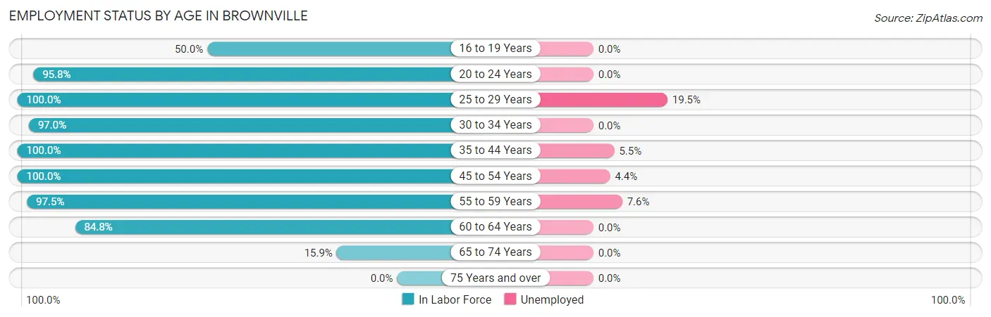 Employment Status by Age in Brownville