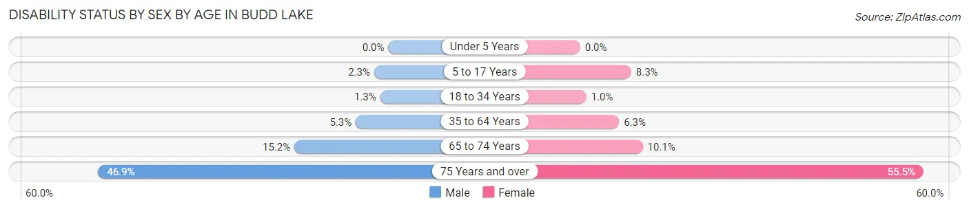 Disability Status by Sex by Age in Budd Lake
