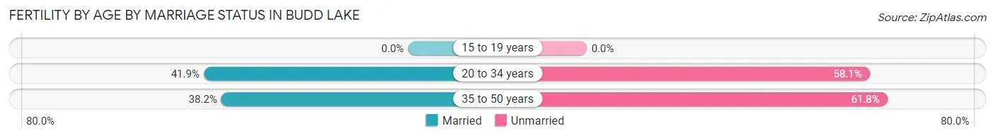 Female Fertility by Age by Marriage Status in Budd Lake