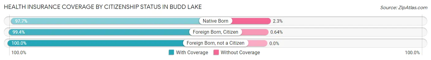 Health Insurance Coverage by Citizenship Status in Budd Lake