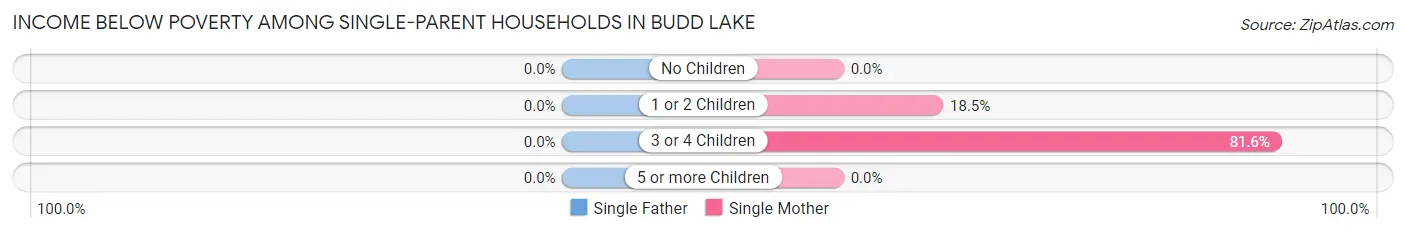 Income Below Poverty Among Single-Parent Households in Budd Lake