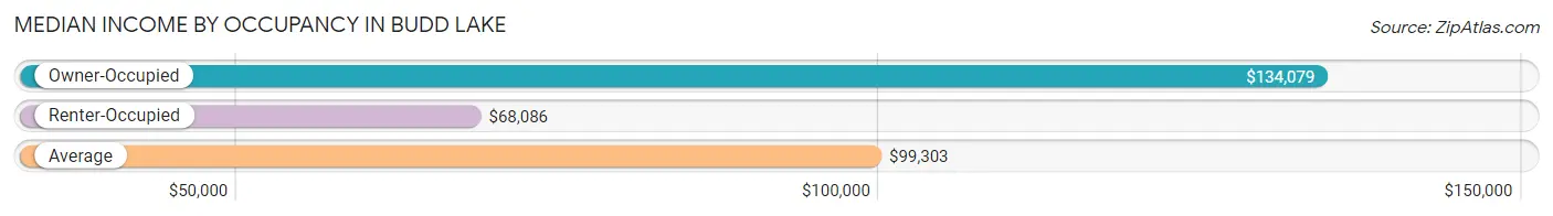 Median Income by Occupancy in Budd Lake