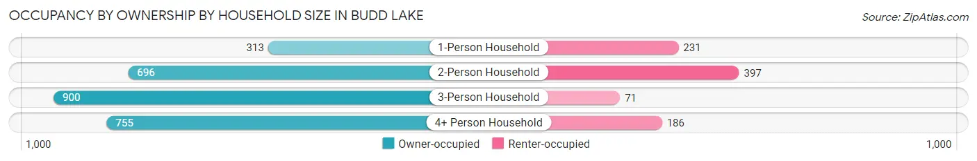 Occupancy by Ownership by Household Size in Budd Lake