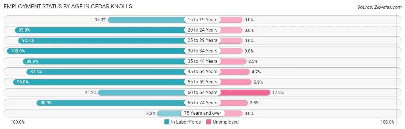 Employment Status by Age in Cedar Knolls
