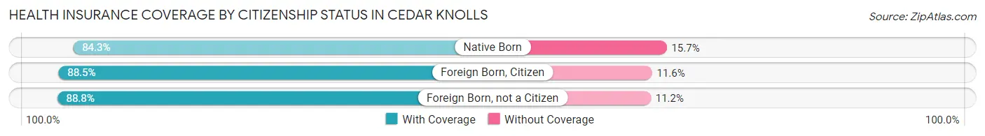 Health Insurance Coverage by Citizenship Status in Cedar Knolls