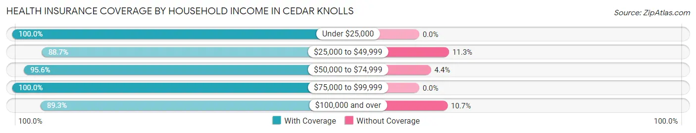 Health Insurance Coverage by Household Income in Cedar Knolls