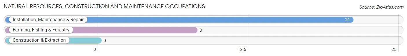 Natural Resources, Construction and Maintenance Occupations in Cedarville