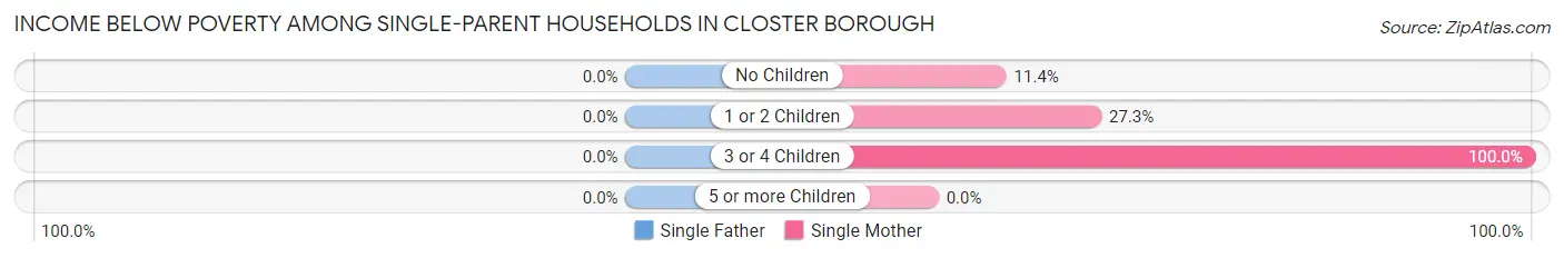 Income Below Poverty Among Single-Parent Households in Closter borough