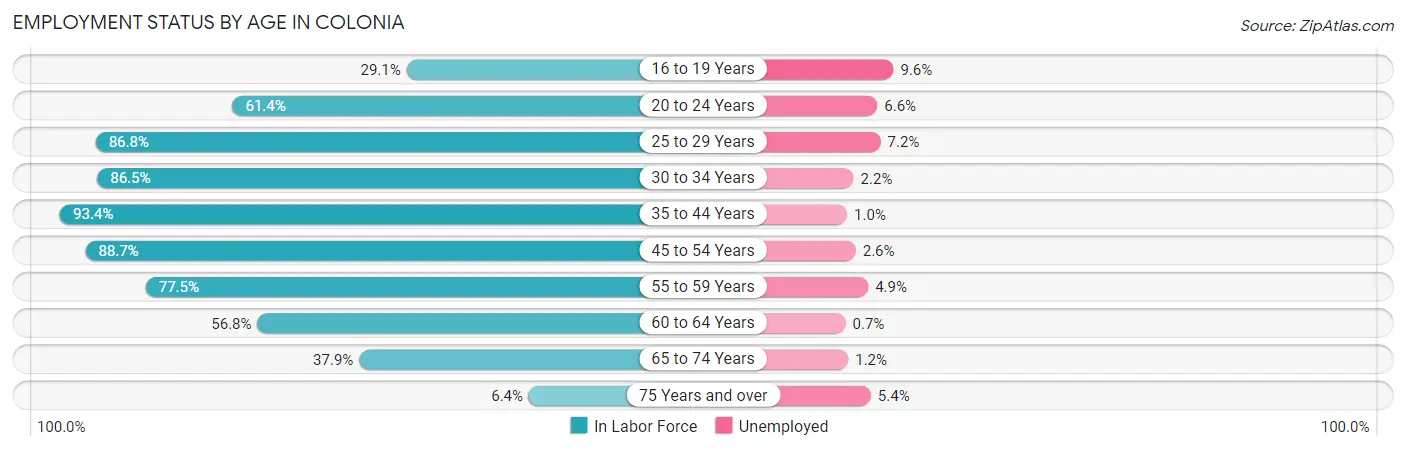 Employment Status by Age in Colonia