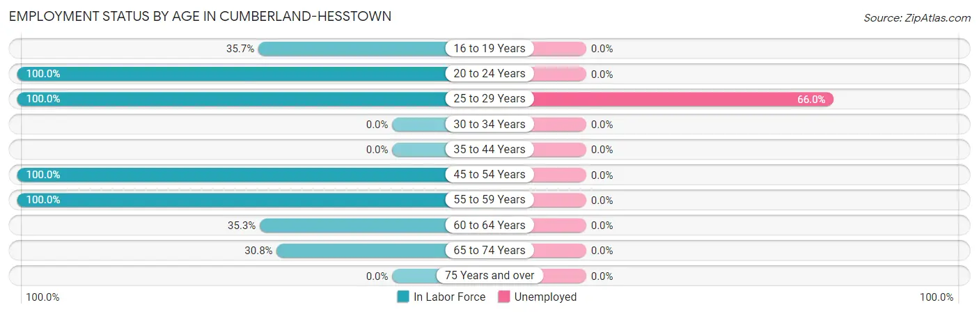 Employment Status by Age in Cumberland-Hesstown