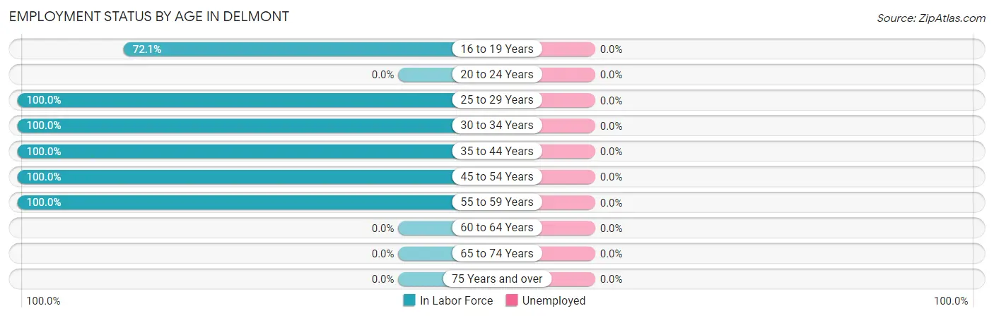 Employment Status by Age in Delmont