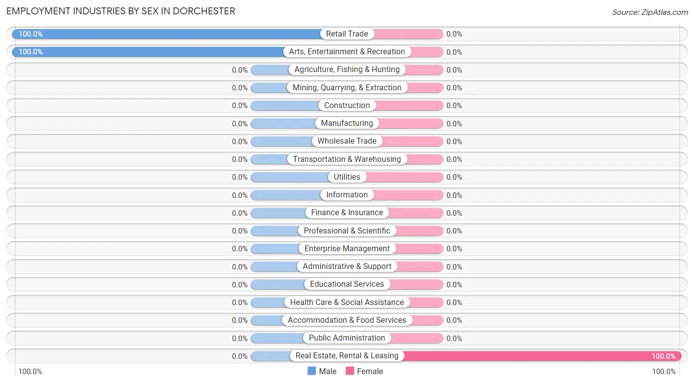 Employment Industries by Sex in Dorchester