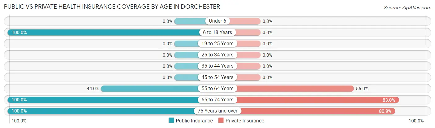 Public vs Private Health Insurance Coverage by Age in Dorchester