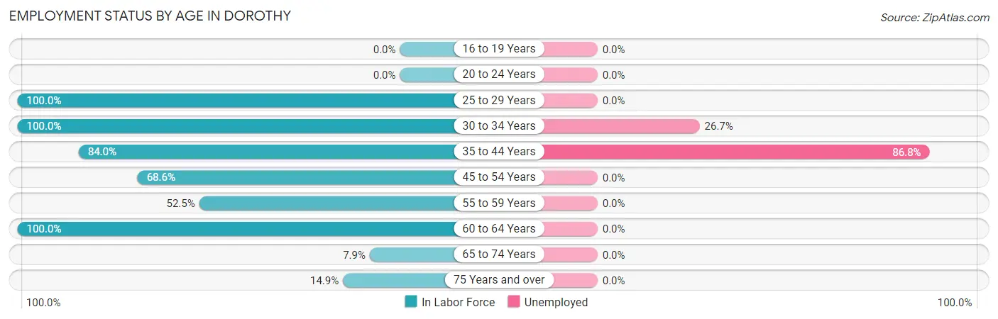Employment Status by Age in Dorothy