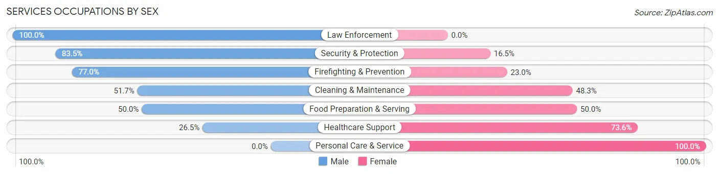 Services Occupations by Sex in Dover