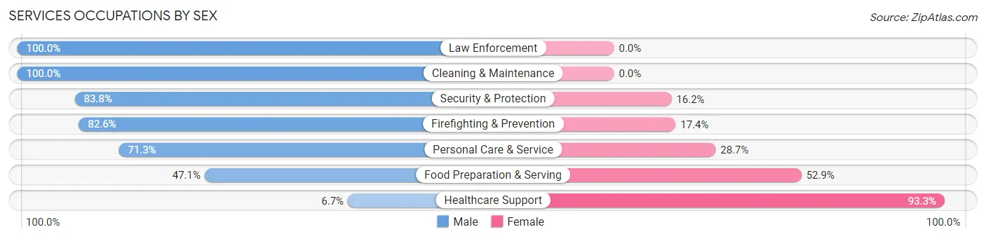 Services Occupations by Sex in Egg Harbor City