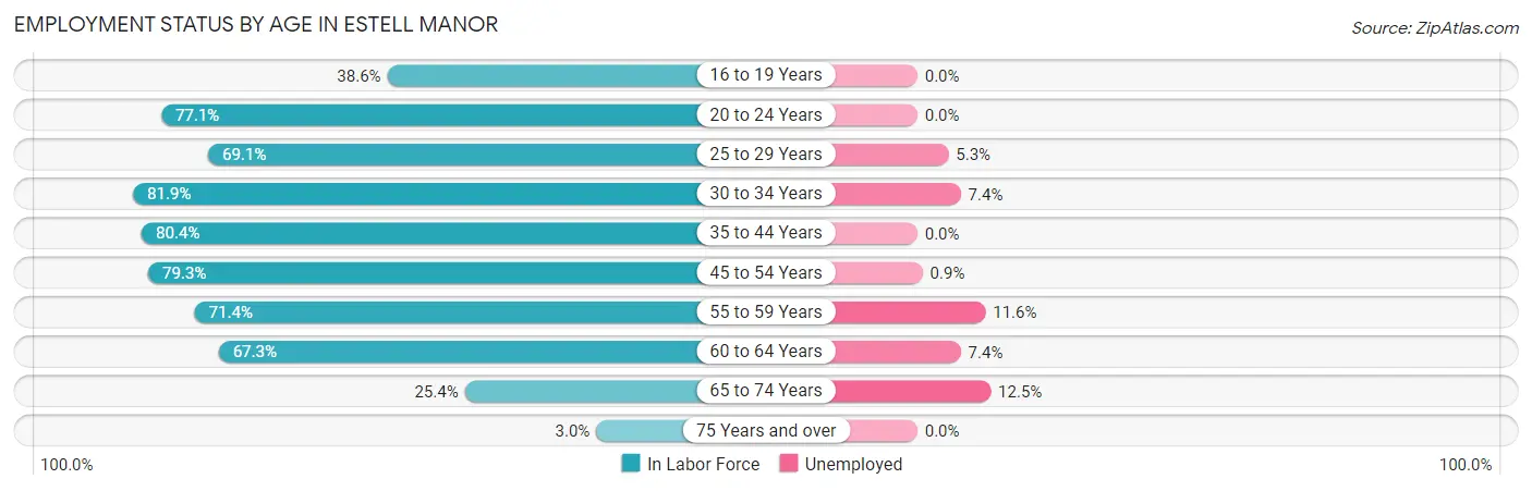 Employment Status by Age in Estell Manor