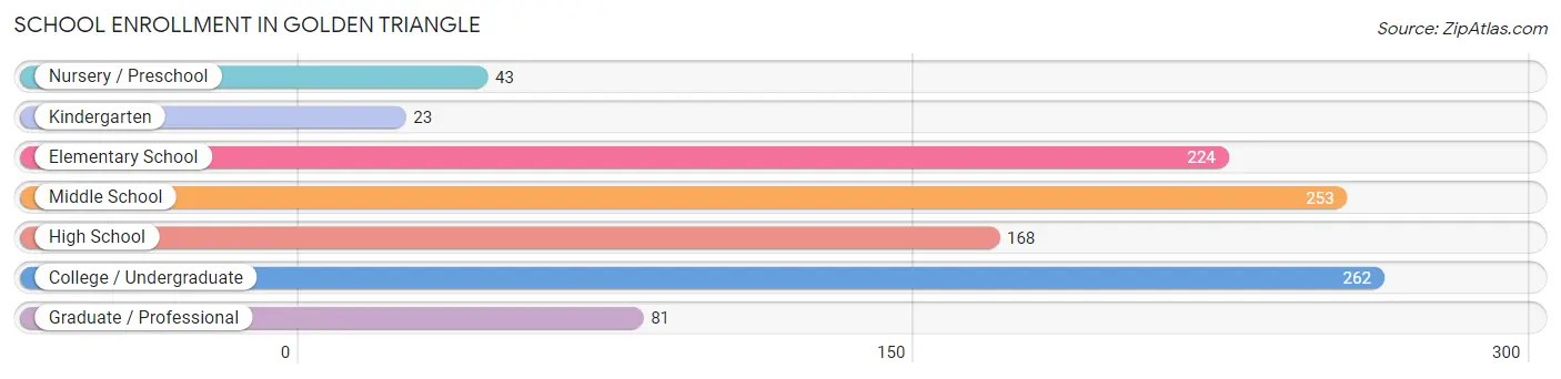 School Enrollment in Golden Triangle