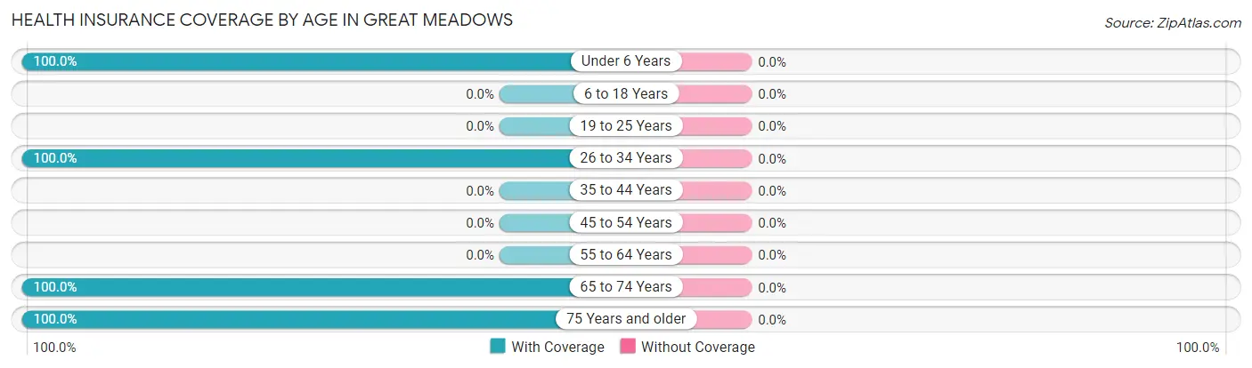 Health Insurance Coverage by Age in Great Meadows