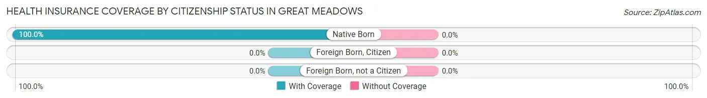 Health Insurance Coverage by Citizenship Status in Great Meadows