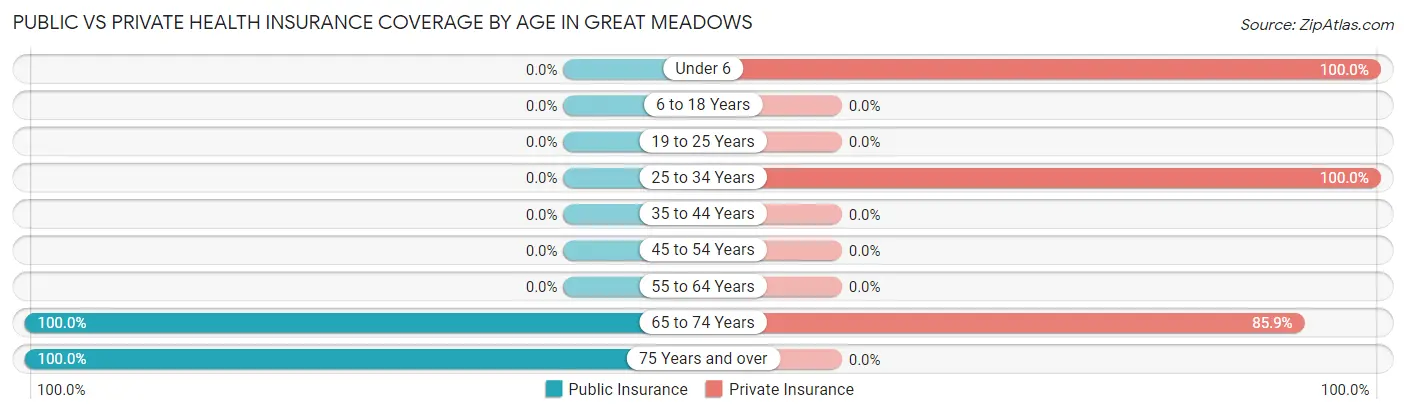 Public vs Private Health Insurance Coverage by Age in Great Meadows