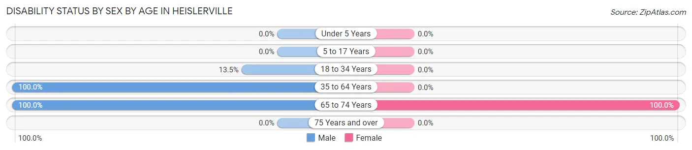 Disability Status by Sex by Age in Heislerville
