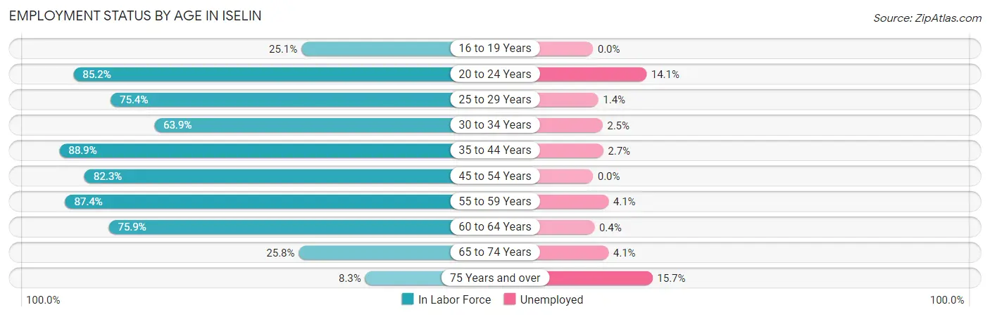 Employment Status by Age in Iselin