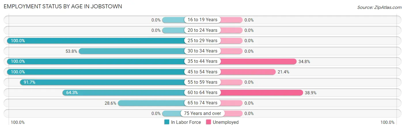 Employment Status by Age in Jobstown