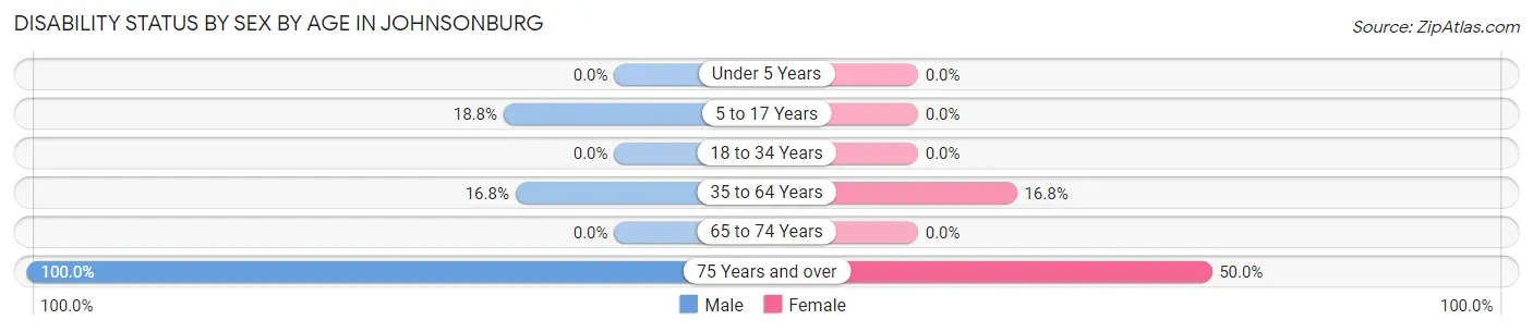 Disability Status by Sex by Age in Johnsonburg