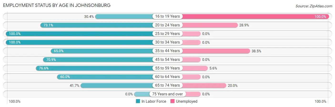 Employment Status by Age in Johnsonburg