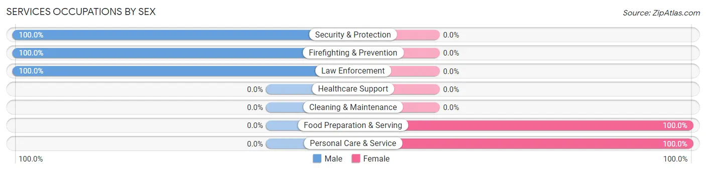 Services Occupations by Sex in Johnsonburg