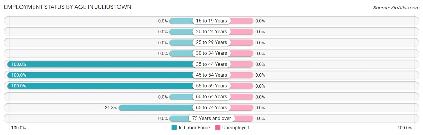Employment Status by Age in Juliustown